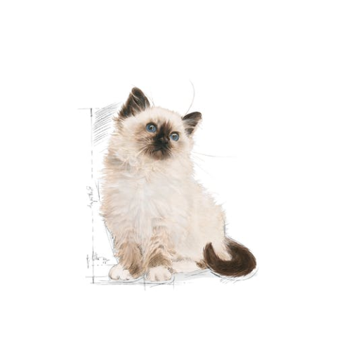 Royal Canin Kitten 400 gr Yavru Kuru Kedi Maması